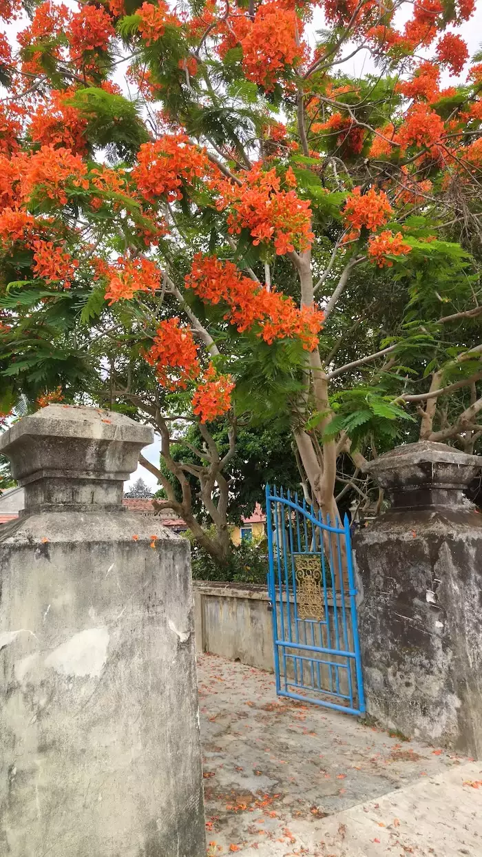 VIETNAM – TOURISME : Deuxième volet de notre escapade à Hoi An (2/3)