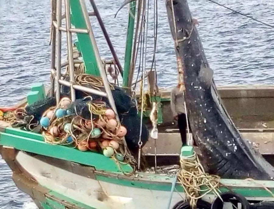 THAÏLANDE – PÊCHE : Bangkok affirme n’avoir plus que sept navires en infraction