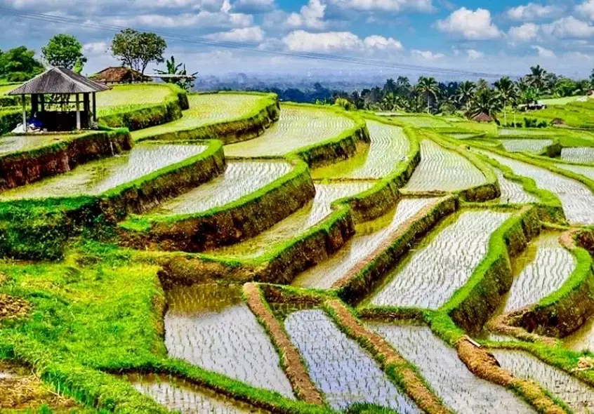 INDONÉSIE – TOURISME : Bali domine toujours le marché hôtelier indonésien