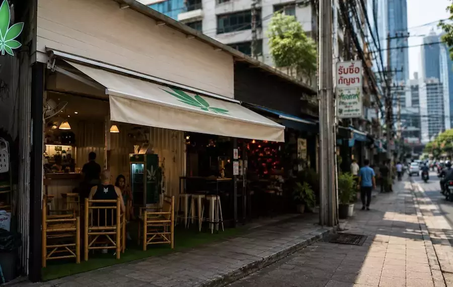 THAÏLANDE – CANNABIS : Bangkok prépare un encadrement plus strict de la filière