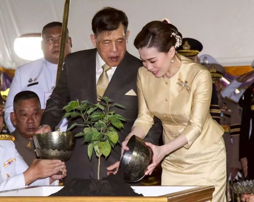 THAÏLANDE – FOCUS : Du 3 au 10 juillet sur les réseaux sociaux !