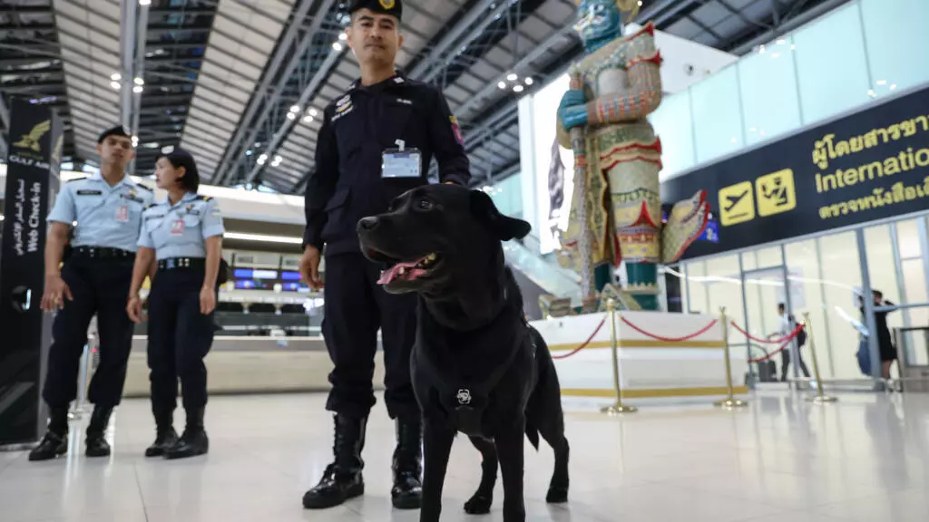 Thaïlande: onze Français détenus pour trafic de drogues depuis le début de l'été