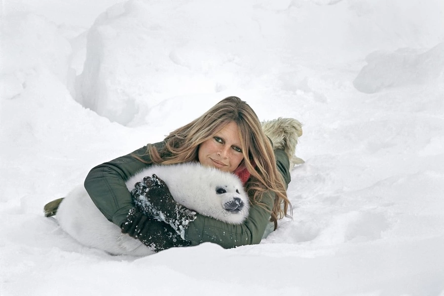 FRANCE – POLITIQUE : Vue d’ailleurs, Adieu Brigitte, Adieu « ta » France