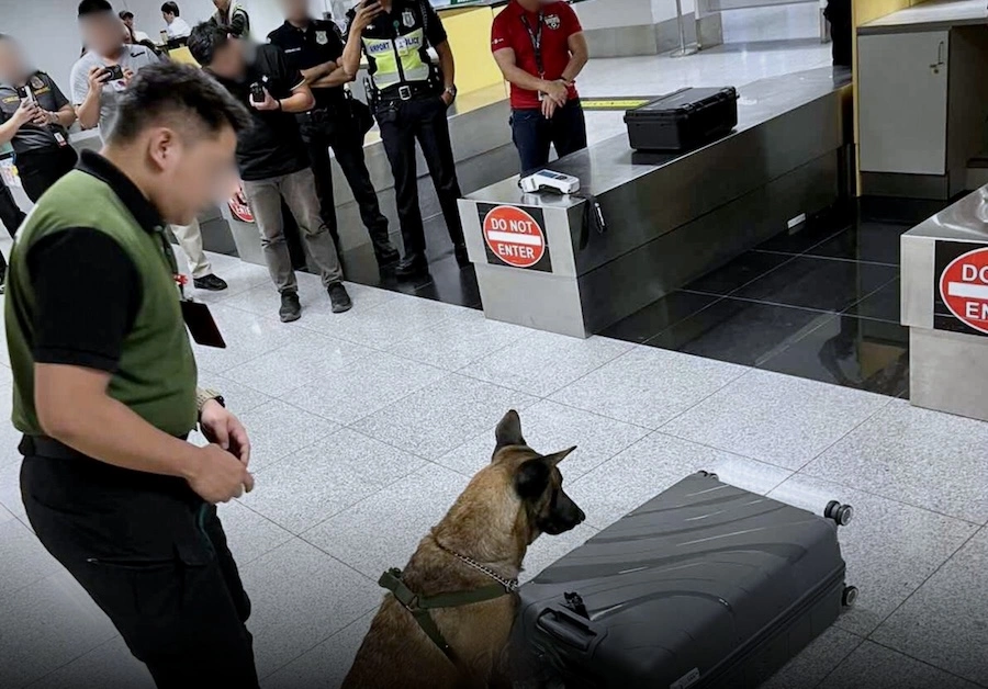 PHILIPPINES – SOCIÉTÉ : Une septuagénaire helvético-suédoise meurt dans une prison philippine