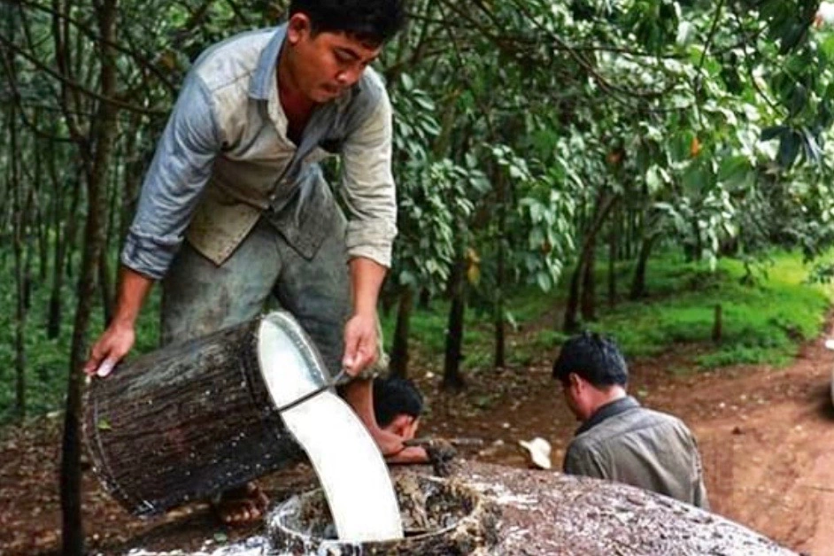 THAÏLANDE – ÉCONOMIE : Inondations dans le Sud touchent plus de 165 000 producteurs de caoutchouc