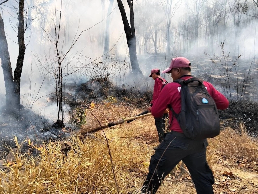 THAÏLANDE – ENVIRONNEMENT : L’incendie de forêt à Sakaerat a été maîtrisé