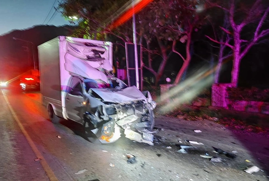 THAÏLANDE – FAUNE : Un éléphant percuté par un pick-up à Khao Yai