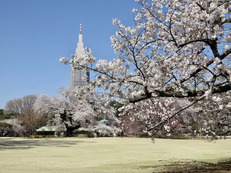 JAPON – FRANCE : Le carnet de voyage japonais de notre collaborateur Yves Carmona