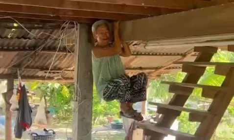 Grand-mère thaï saute sur poutre de plafond pour échapper à serpent