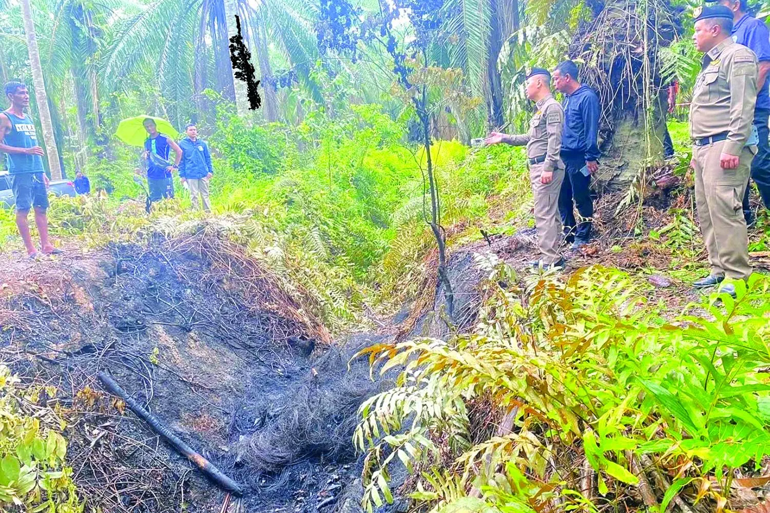 Des querelles intestines imputées dans les meurtres de plantations.