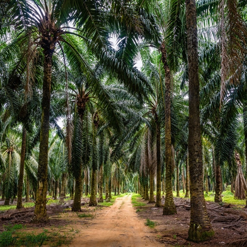 MALAISIE – ÉCONOMIE : Le pays s’adapte à la nouvelle donne commerciale