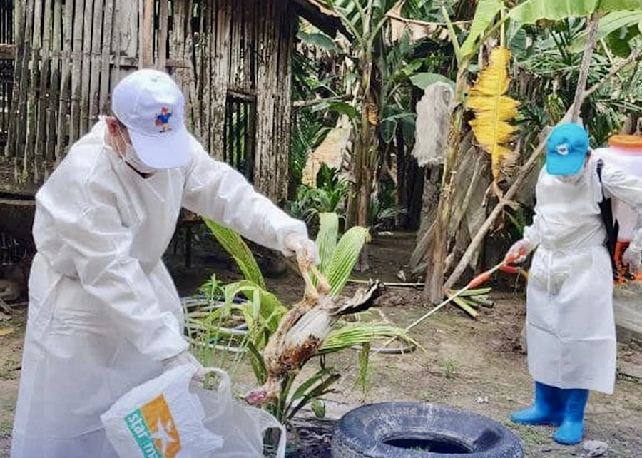 CAMBODGE – SANTÉ : Un nouveau cas de grippe aviaire H5N1 détecté à Siem Reap