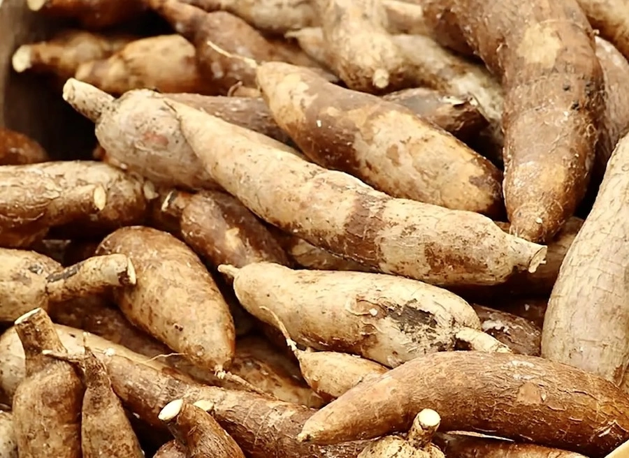 THAÏLANDE – ÉCONOMIE : Le ministère du Commerce suspend neuf importateurs de chips de tapioca