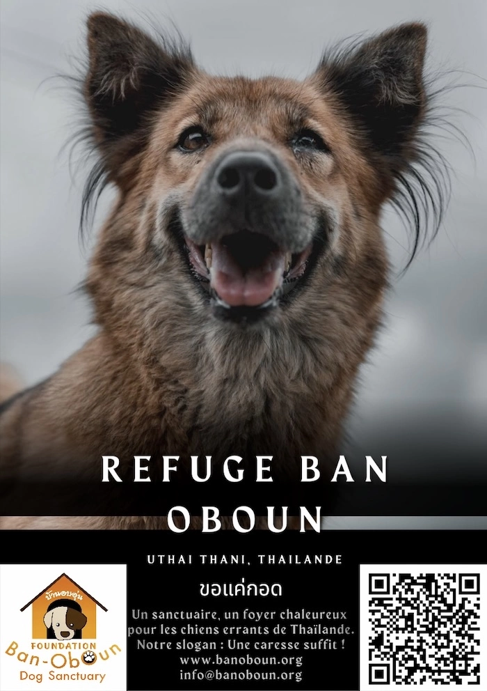 THAÏLANDE – SOCIÉTÉ : L’appel de Gavroche pour le refuge Ban ObOun