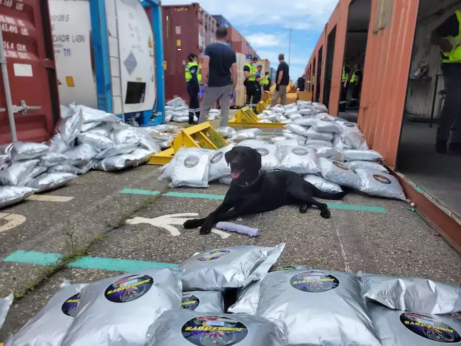 THAÏLANDE – FRANCE : 1,7 tonne de cannabis thaïlandais interceptée à Fos-sur-Mer en mai 2026