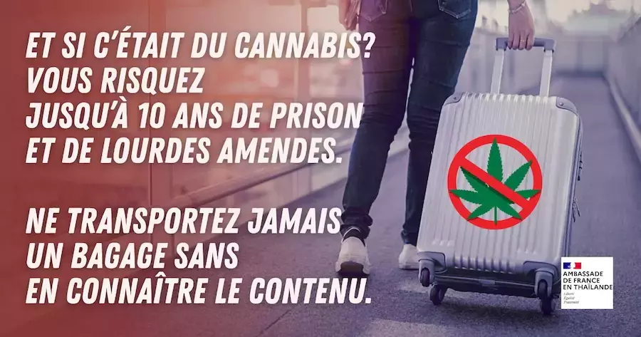THAÏLANDE – FRANCE : Cannabis, l’ambassade met en garde les Français contre les réseaux de passeurs