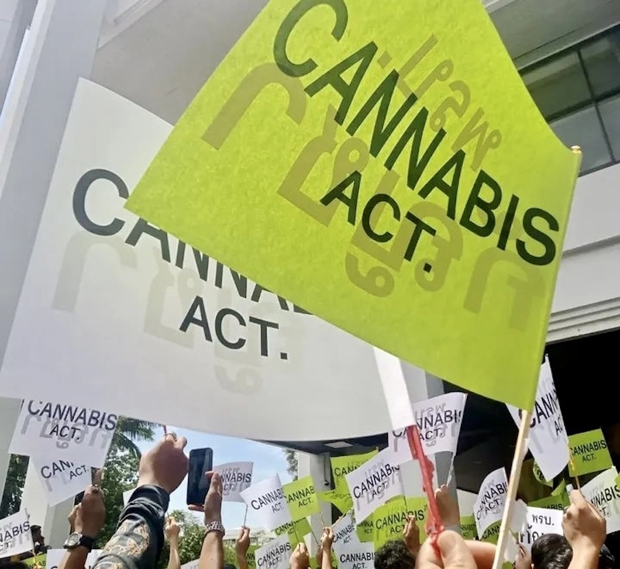 THAÏLANDE – CANNABIS : Les pro cannabis manifestent devant le ministère de la Santé