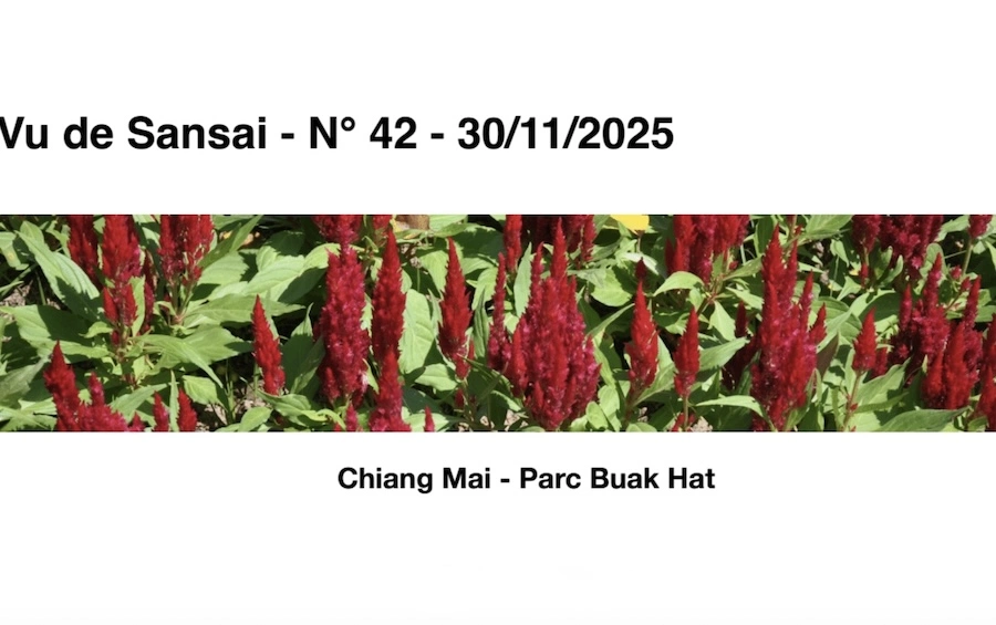 ASIE DU SUD-EST – FRANCE : Une belle revue à partager, « Vu de Sansai »