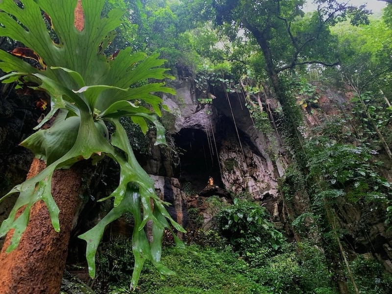 CHIANG MAI – TOURISME : Des fermetures saisonnières pour préserver la nature et la sécurité