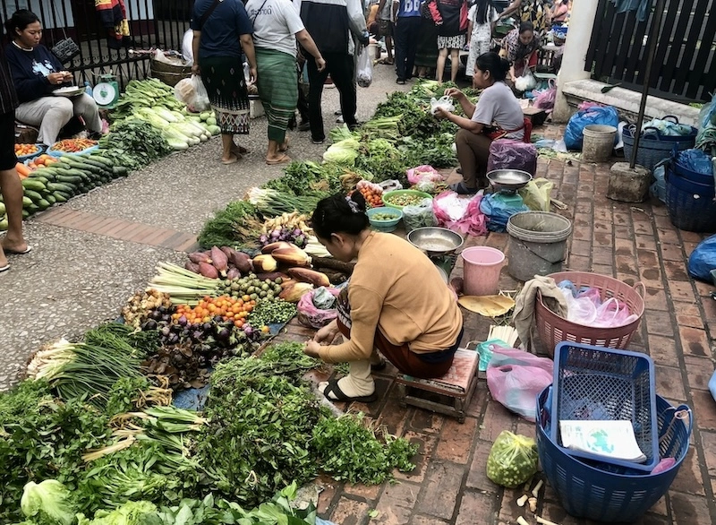 LAOS – ÉCONOMIE : L’inflation ralentit à 8,3 % en mai