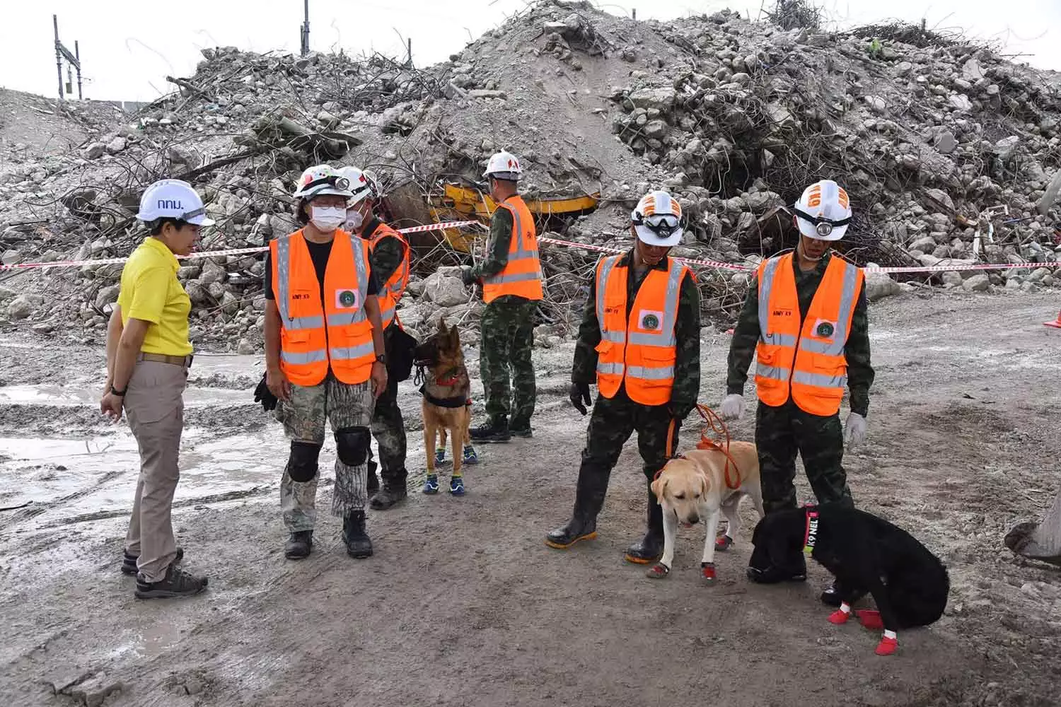 Unité canine effectue une dernière inspection du site.