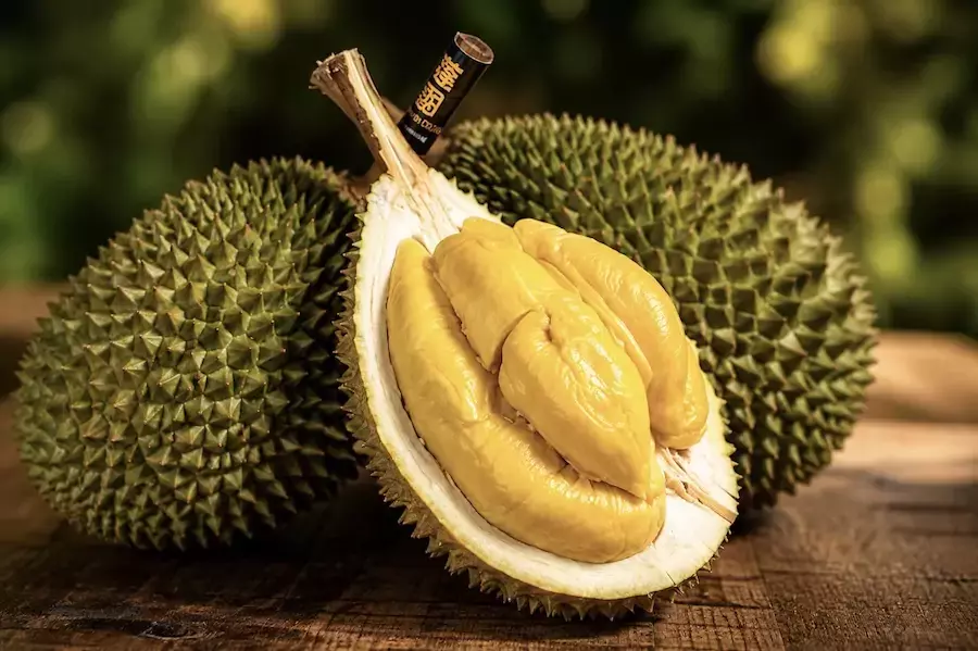 MALAISIE – ÉCONOMIE : Victime de son succès, le « Musang King » voit son prix chuter de 90 %