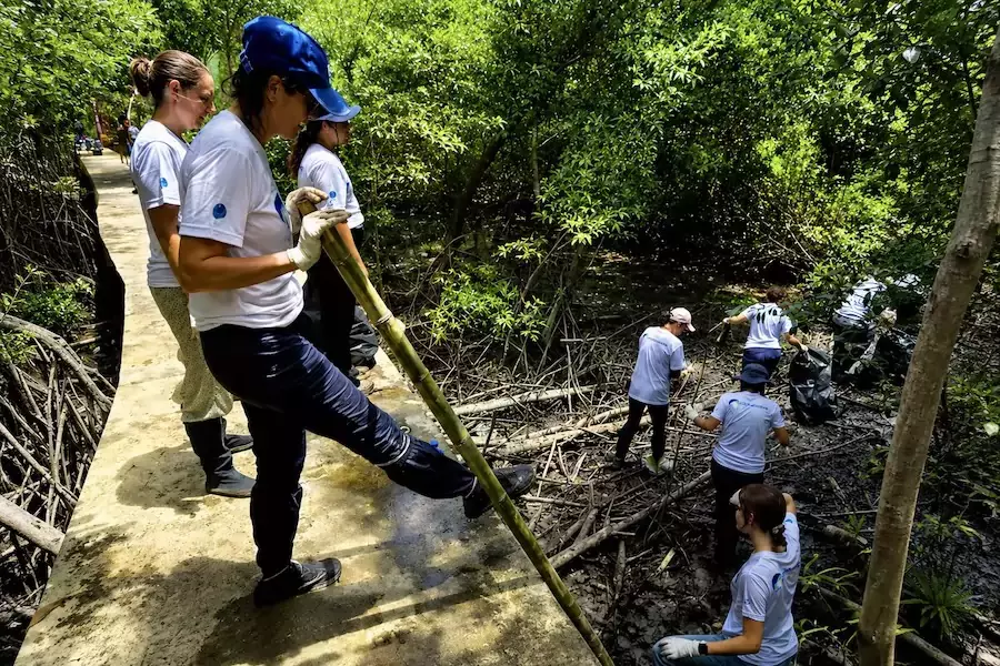 THAÏLANDE – FRANCE : Bangkok Accueil mobilisé pour nettoyer les mangroves