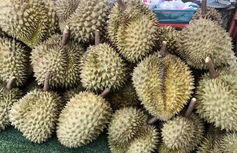 THAÏLANDE – ÉCONOMIE : Bangkok vise plus de 150 milliards de bahts d’exportations de durians en 2026