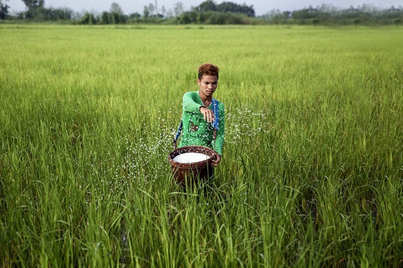 THAÏLANDE – IRAN : Cinq cargos bloqués, la pénurie d’engrais menace