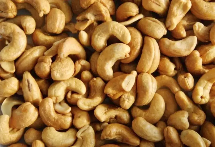 CAMBODGE – ÉCONOMIE : La conférence internationale sur la noix de cajou, un bon filon