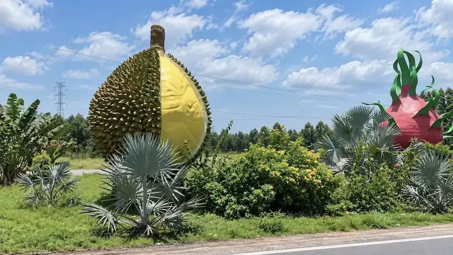 VIETNAM – ÉCONOMIE : Le Vietnam veut détrôner la Thaïlande sur le marché du durian