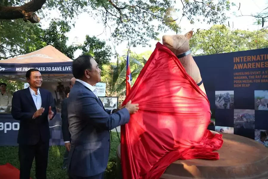 CAMBODGE – SOCIÉTÉ : Magawa, le rat démineur, ce héros qui a désormais sa statue