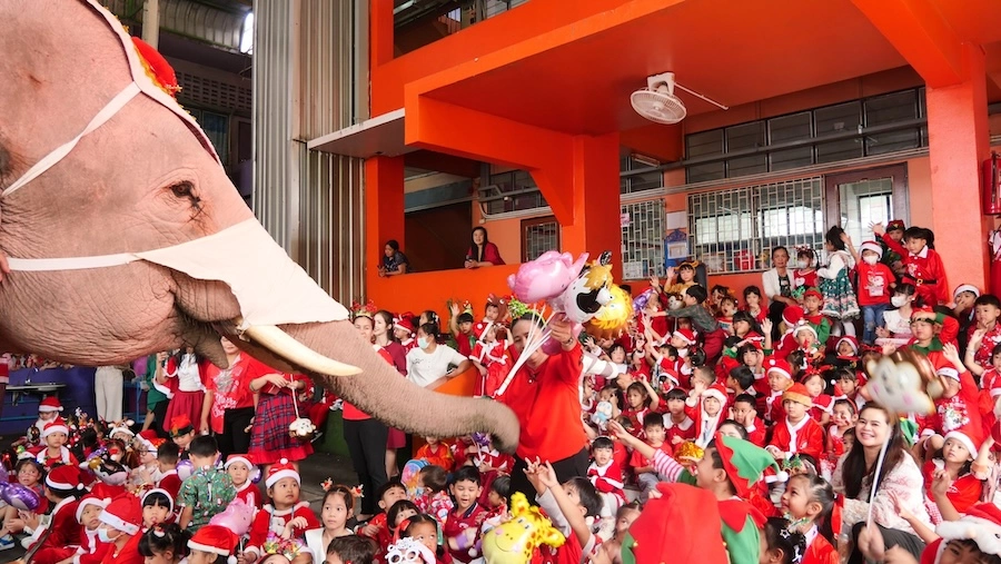 THAÏLANDE – TRADITION : À Ayutthaya, les éléphants enfilent le costume de Père Noël