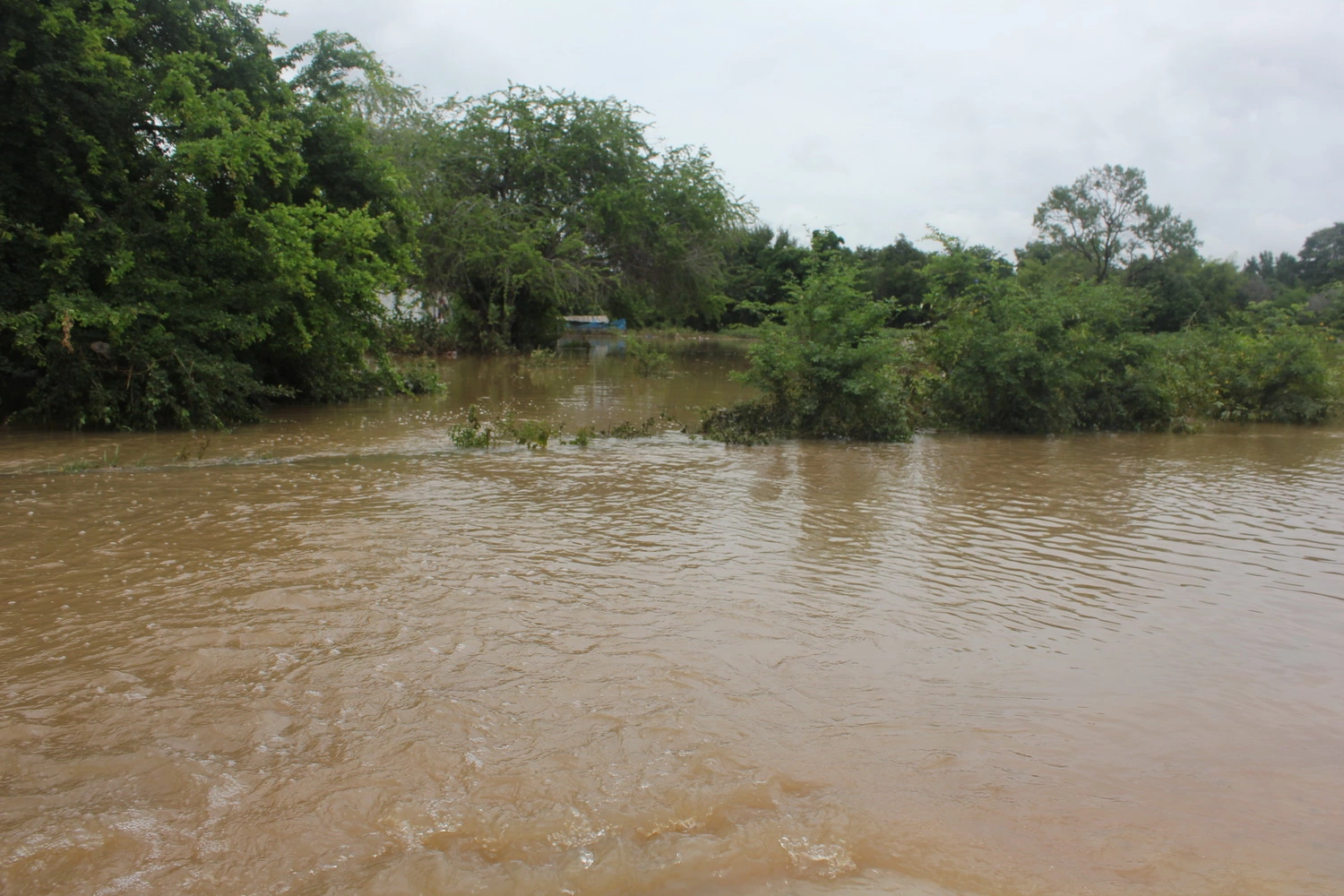 Inondations soudaines à Wang Nam Khiao, près de Korat, causent des dégâts, une personne disparue.