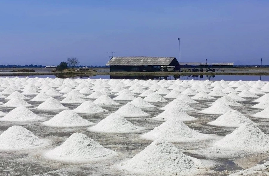 THAÏLANDE – SOCIÉTÉ : Gavroche vous raconte le royaume en vidéos