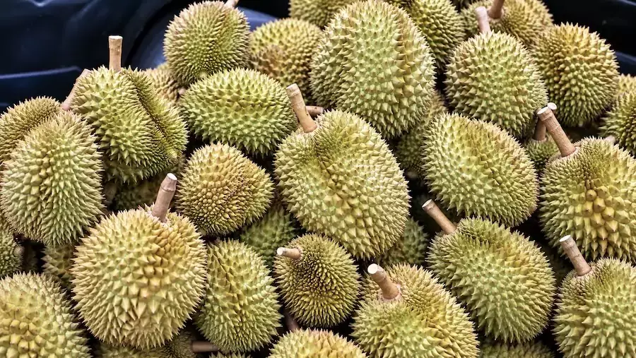 GAVROCHE ÉCO – ÉDITORIAL : Achetez mon durian, il est beau mon durian !